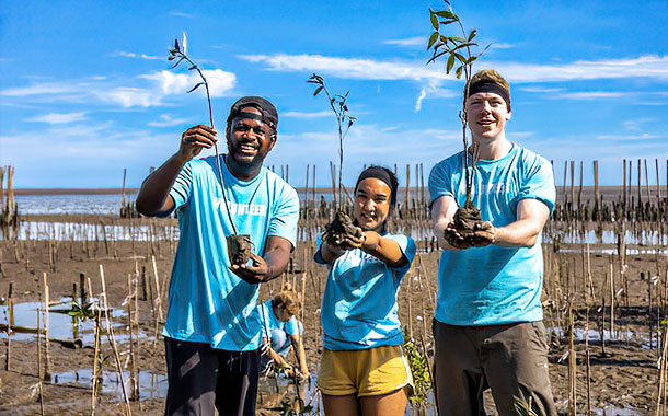 Teaming Up With You teaming up with you